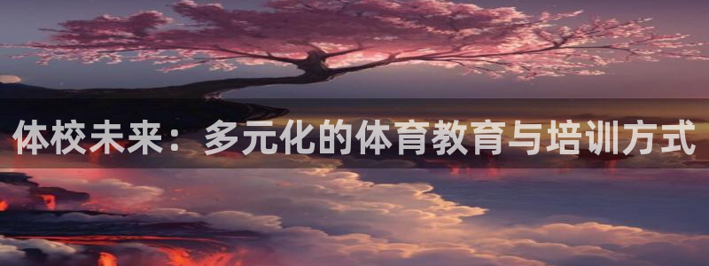 酷玩体育低调看NBA：体校未来：多元化的体育教育与培训方式