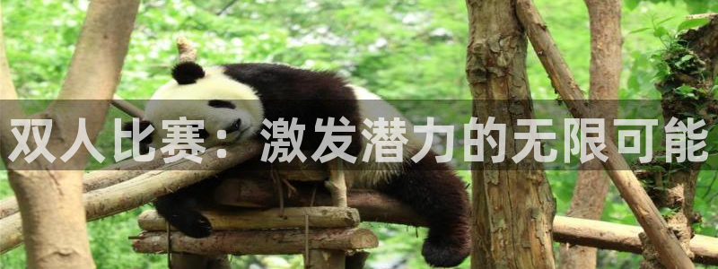 酷玩体育直播nba赛程：双人比赛：激发潜力的无限可能