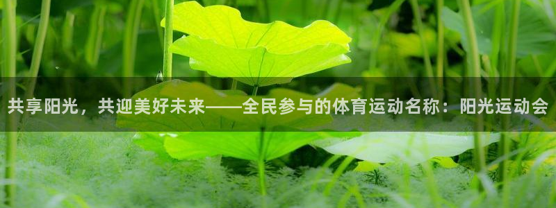 酷玩体育app：共享阳光，共迎美好未来——全民参与的体育运动名称：阳光运动会