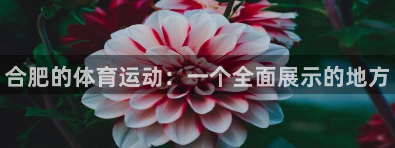 酷玩体育低调看NBA：合肥的体育运动：一个全面展示的地方