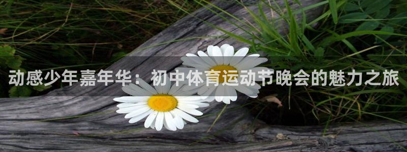 酷玩体育app：动感少年嘉年华：初中体育运动节晚会的魅力之旅