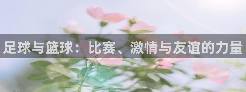 酷玩体育nba：足球与篮球：比赛、激情与友谊的力量