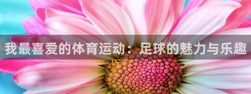 酷玩体育低调看NBA：我最喜爱的体育运动：足球的魅力与乐趣