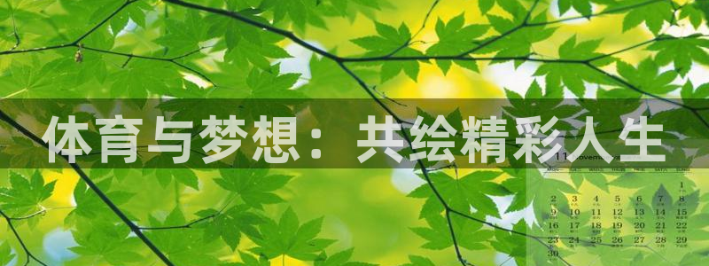 酷玩体育nba：体育与梦想：共绘精彩人生