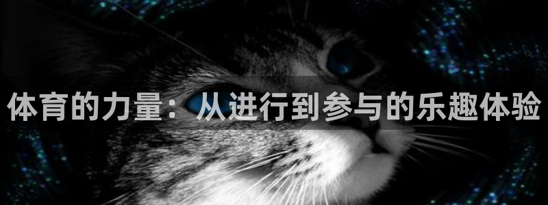 酷玩体育直播nba赛程：体育的力量：从进行到参与的乐趣体验